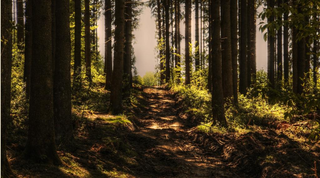 Eka postaus – kesäloma